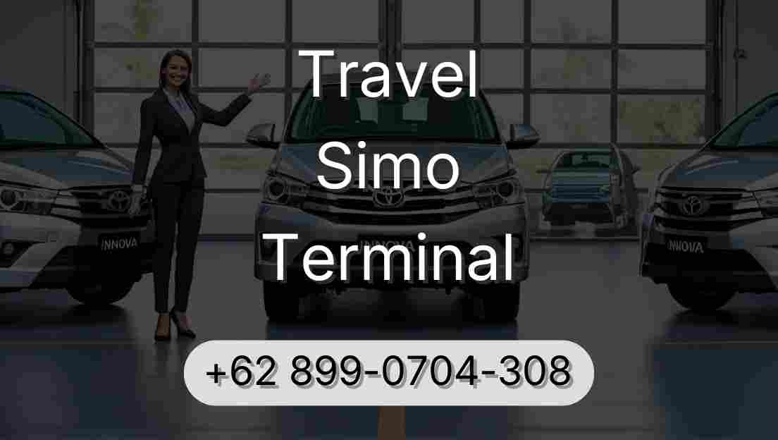 Travel Simo Terminal
