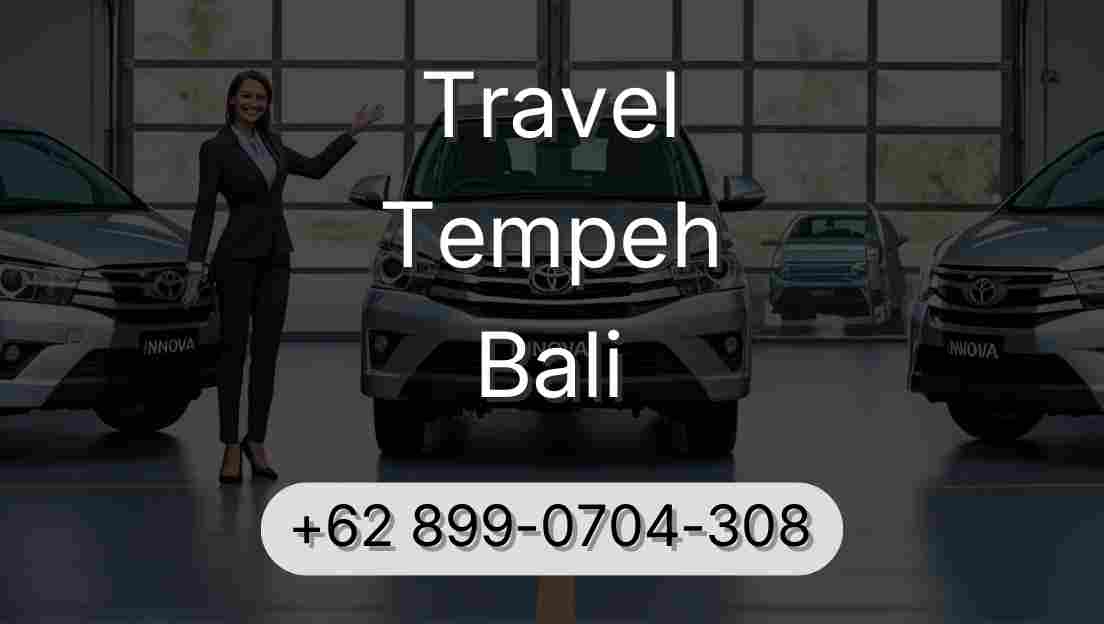 Travel Tempeh Bali